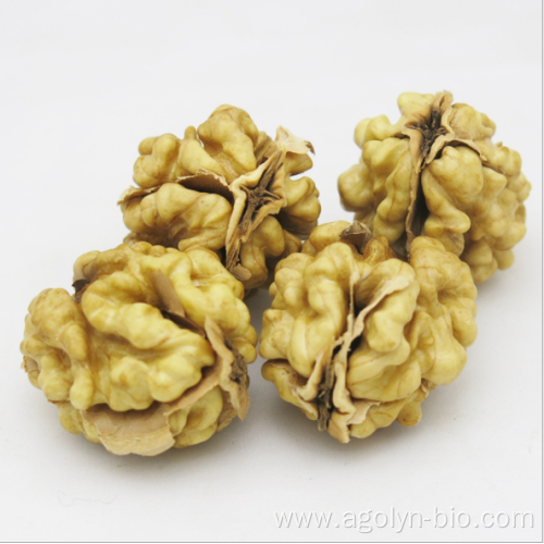 premium butterfly walnut kernel without shell for snack